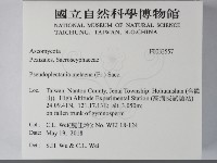 登錄號:F0033557藏品圖，第2張