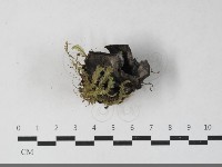 登錄號:F0033557藏品圖，第4張