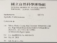 登錄號:F0033558藏品圖，第2張