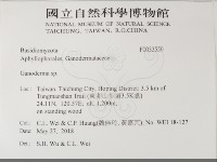 登錄號:F0033559藏品圖，第2張