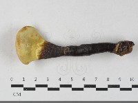 登錄號:F0033559藏品圖，第3張