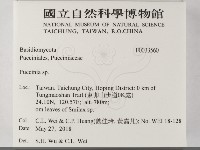 柄銹菌屬藏品圖，第2張