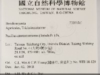 登錄號:F0033561藏品圖，第2張