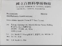 登錄號:F0033564藏品圖，第2張