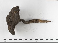 登錄號:F0033564藏品圖，第1張