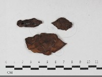 登錄號:F0033565藏品圖，第3張