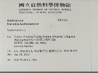 革墊菌屬藏品圖，第2張