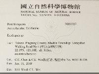 登錄號:F0033567藏品圖，第2張