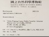 登錄號:F0033570藏品圖，第2張