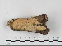 登錄號:F0033570藏品圖，第1張