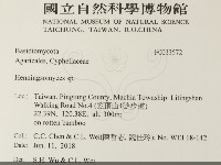 登錄號:F0033572藏品圖，第2張