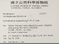 登錄號:F0033573藏品圖，第2張