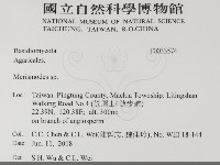 登錄號:F0033574藏品圖，第2張