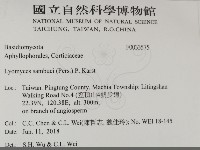 登錄號:F0033575藏品圖，第2張