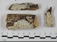 登錄號:F0033575藏品圖，第1張