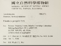 登錄號:F0033576藏品圖，第2張