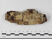 登錄號:F0033576藏品圖，第1張