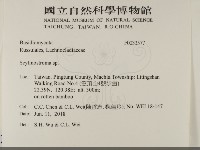 登錄號:F0033577藏品圖，第2張