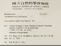 登錄號:F0033578藏品圖，第2張