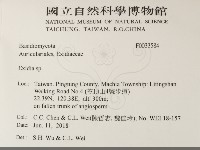 登錄號:F0033584藏品圖，第2張