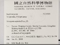 登錄號:F0033585藏品圖，第2張