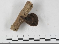 登錄號:F0033585藏品圖，第1張