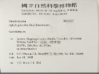 靈芝屬藏品圖，第2張