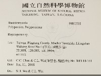 硬孔菌屬藏品圖，第2張