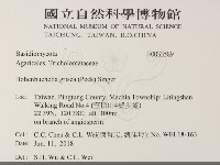 登錄號:F0033589藏品圖，第2張