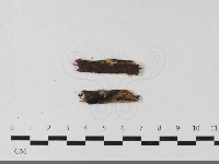 登錄號:F0033589藏品圖，第1張