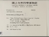 登錄號:F0033591藏品圖，第2張