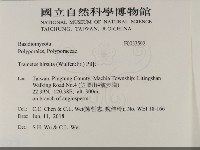 登錄號:F0033592藏品圖，第2張