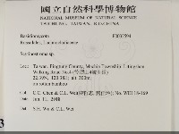 登錄號:F0033594藏品圖，第2張