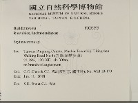 登錄號:F0033595藏品圖，第2張