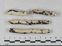 登錄號:F0033595藏品圖，第1張