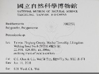 多年臥孔菌屬藏品圖，第2張