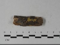 登錄號:F0033597藏品圖，第4張