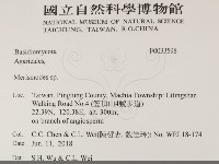 登錄號:F0033598藏品圖，第2張