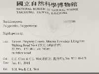 硬孔菌屬藏品圖，第2張
