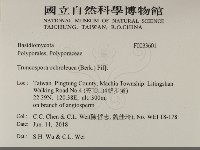 登錄號:F0033601藏品圖，第2張