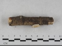 登錄號:F0033601藏品圖，第1張