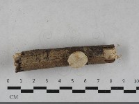 登錄號:F0033601藏品圖，第3張