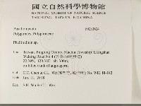 登錄號:F0033604藏品圖，第2張