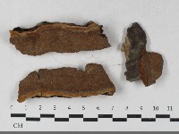 登錄號:F0033604藏品圖，第1張