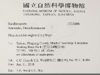 登錄號:F0033606藏品圖，第2張