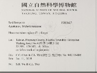 登錄號:F0033607藏品圖，第2張