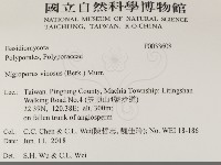 登錄號:F0033608藏品圖，第2張