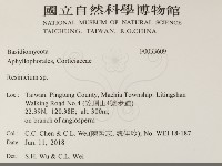 樹脂殼菌屬藏品圖，第2張