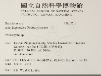 登錄號:F0033610藏品圖，第2張