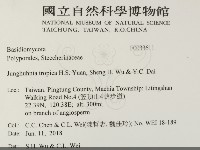 登錄號:F0033611藏品圖，第2張